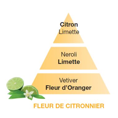 fleur_de_citronnier
