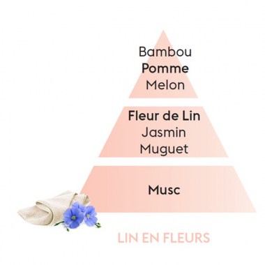 lin_en_fleurs_1