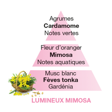 lumineux_mimosa_1